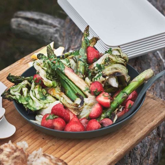 Light My Fire Ramen Plate 4 Pack Sage Green