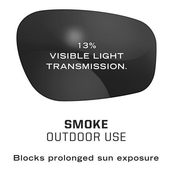 Mechanix Wear Vision Type-X F Safety Eyewear Smoke Lens Black Frame