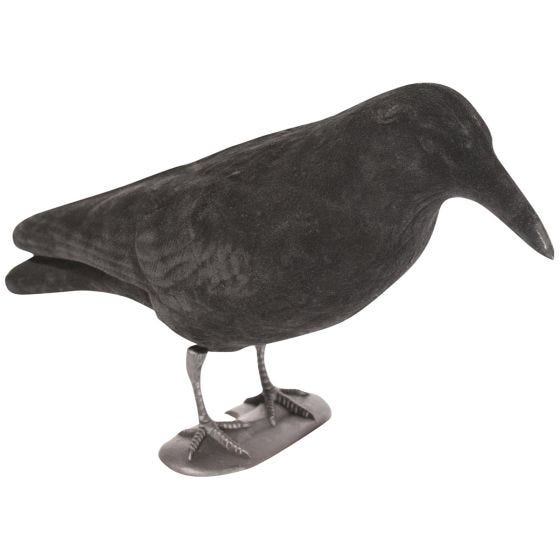 Jack Pyke Flocked Crow Decoy